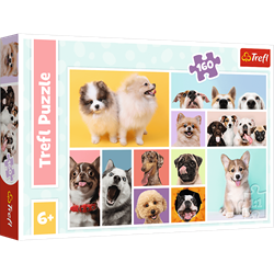 Trefl 160 - Dog friendship
