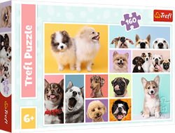 Trefl 160 - Dog friendship