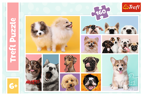 Trefl 160 - Dog friendship-3