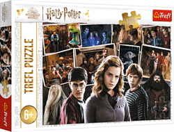 Trefl 160 - Harry Potter and friends / Warner Harry Potter