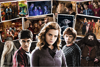 Trefl 160 - Harry Potter and friends / Warner Harry Potter-2