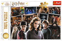 Trefl 160 - Harry Potter and friends / Warner Harry Potter-3