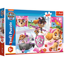 Trefl Skye in action Legpuzzel 100 stuk(s) Stripfiguren