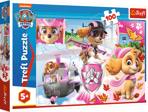 Trefl Skye in action Legpuzzel 100 stuk(s) Stripfiguren
