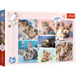 Trefl 100 - In the cat world