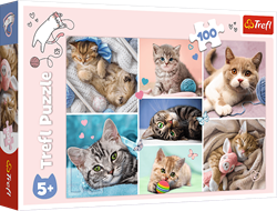 Trefl 100 - In the cat world