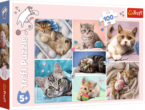 Trefl 100 - In the cat world
