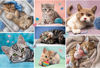 Trefl 100 - In the cat world-2