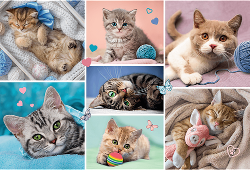 Trefl 100 - In the cat world-2