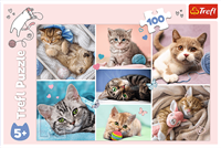 Trefl 100 - In the cat world-3