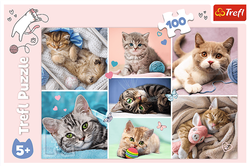 Trefl 100 - In the cat world-3