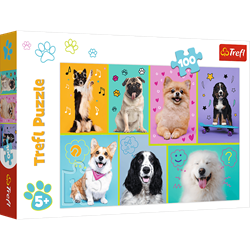 Trefl 100 - In the world of dogs