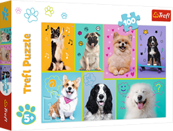 Trefl 100 - In the world of dogs