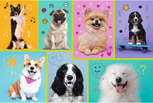 Trefl 100 - In the world of dogs-2