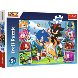 Trefl 100 - Meet Sonic / SEGA Sonic The Hedgehog