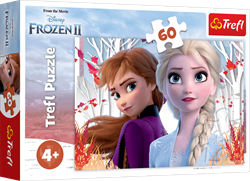 Trefl 60 - The enchanted world of Anna and Elsa / Disney Fro