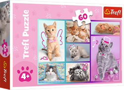 Trefl 60 - Cute cats