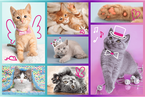 Trefl 60 - Cute cats-2