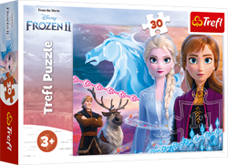 Trefl 30 - The courage of the sisters / Disney Frozen 2