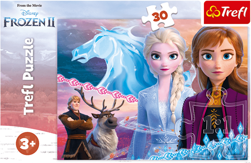 Trefl 30 - The courage of the sisters / Disney Frozen 2-3