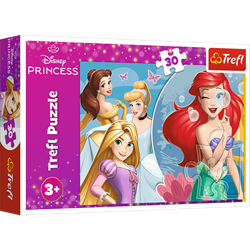 Trefl 30 - Beautiful princess day / Disney Princess