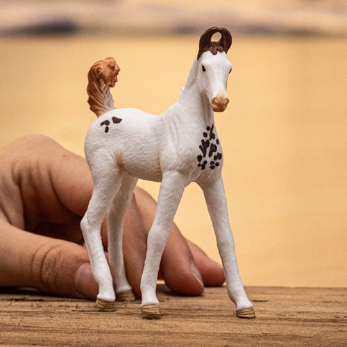 Schleich Horse Club Marwari Foal-2