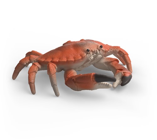 Extra afbeelding voor 39042742