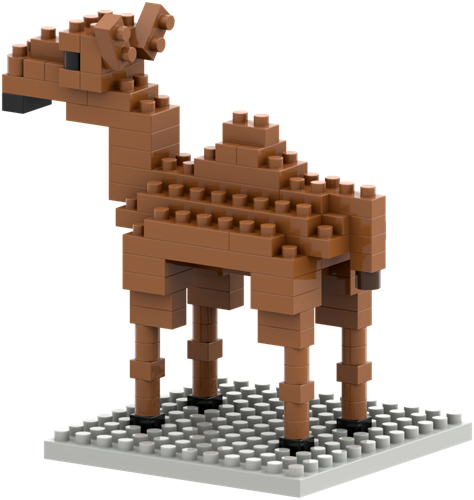 BRIXIES Kameel - 88 st-2