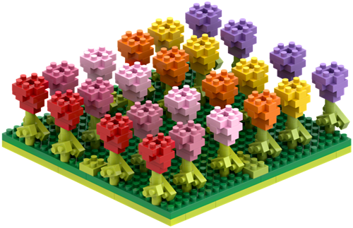 BRIXIES Tulpenveld - 381 st