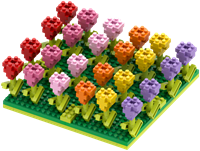 BRIXIES Tulpenveld - 381 st-2