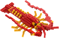 BRIXIES Kreeft - 159 st