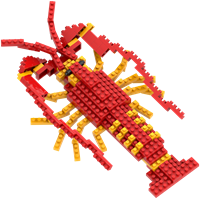 BRIXIES Kreeft - 159 st-2