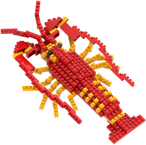 BRIXIES Kreeft - 159 st-2