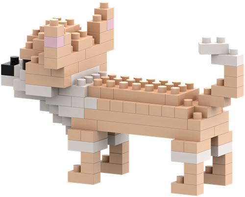 BRIXIES Chihuahua - 100 st-2