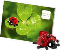 BRIXIES Postkaart Lieveheersbeestje - 49 st