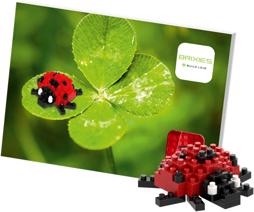 BRIXIES Postkaart Lieveheersbeestje - 49 st