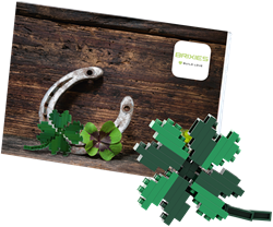 BRIXIES Postkaart Klavertje - 48 st