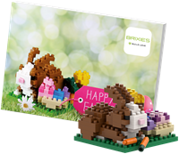 BRIXIES Postkaart Vrolijk Pasen - 136 st-2