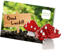 BRIXIES Postkaart Veel Geluk - 79 st