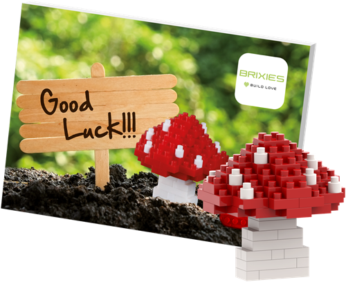 BRIXIES Postkaart Veel Geluk - 79 st