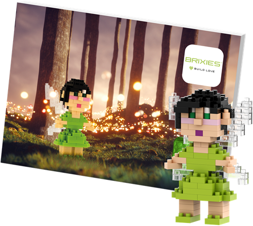 BRIXIES Postkaart Fee - 145 st