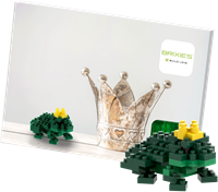 BRIXIES Postkaart Kikkerkoning - 60 st-2