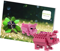 BRIXIES Postkaart Geluksvarken - 66 st