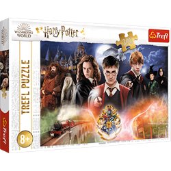 Trefl 300 - The Secret Harry Potter / Warner Harry Potter