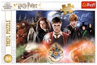 Trefl 300 - The Secret Harry Potter / Warner Harry Potter-2