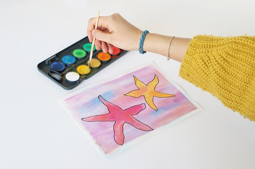 Primo - Aquarelverf Tablet/Penseel Ø30 mm (12 Kleuren)-3