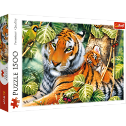 Trefl 1500 - Two tigers