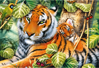 Trefl 1500 - Two tigers-2