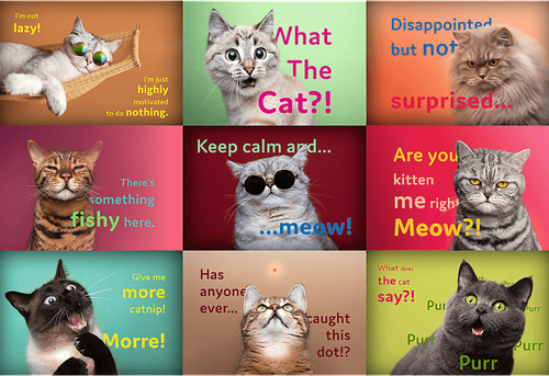 Trefl 1500 - Funny Cats Faces-2