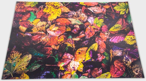 Tickit A2 Herfst Speelmat